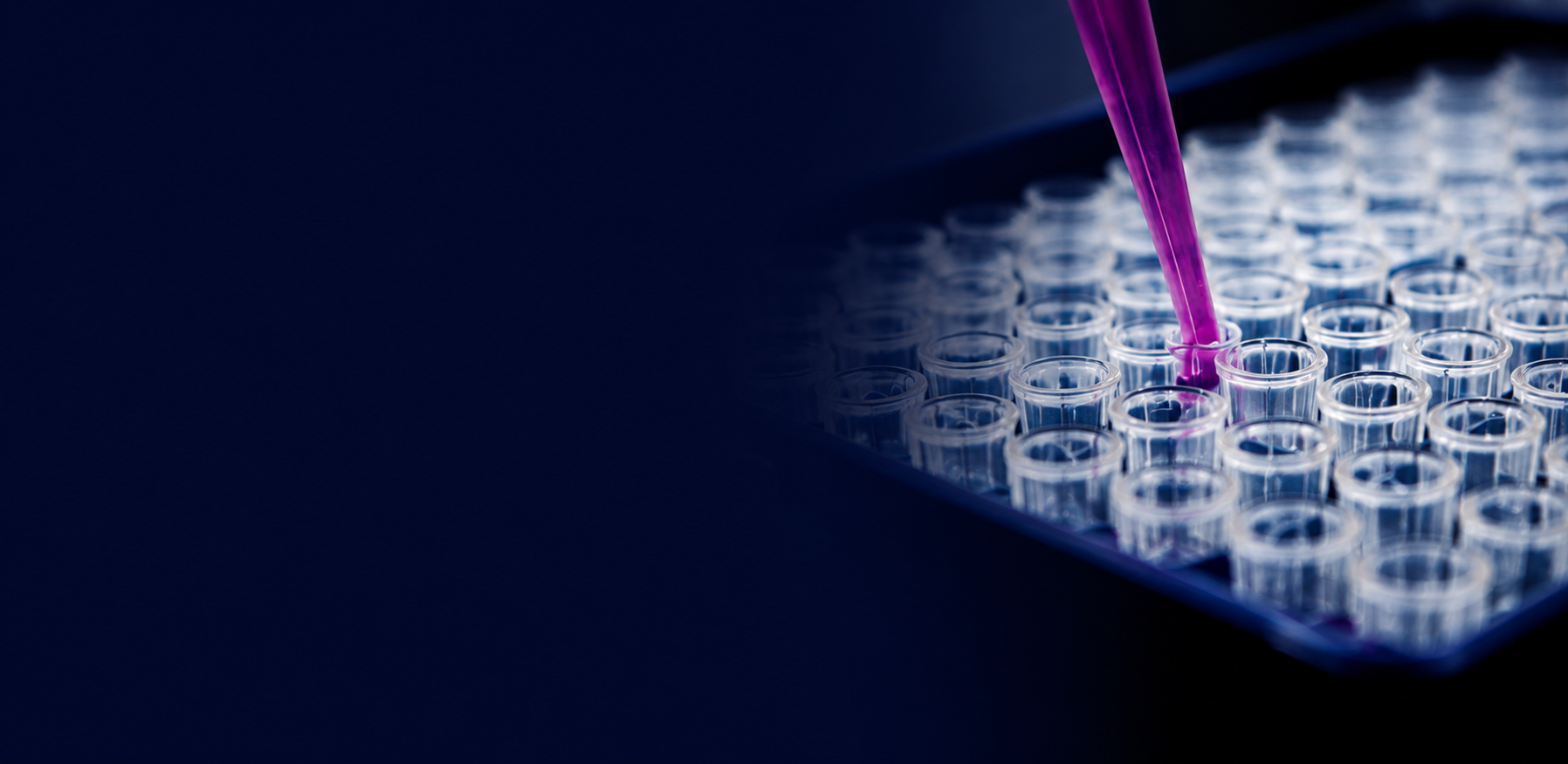 Chromatography laboratory products with sample vials and pipette for analytical testing.